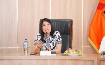 Pelaksana tugas (Plt) Kepala Biro Penanganan Pelanggaran Bawaslu Maria Amelia Sinaga dalam audiensi dari organisasi Thinkleaders di kantor Bawaslu RI, Jakarta, Rabu (22/7/2026).
